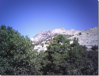 RECO0018 RECO0018